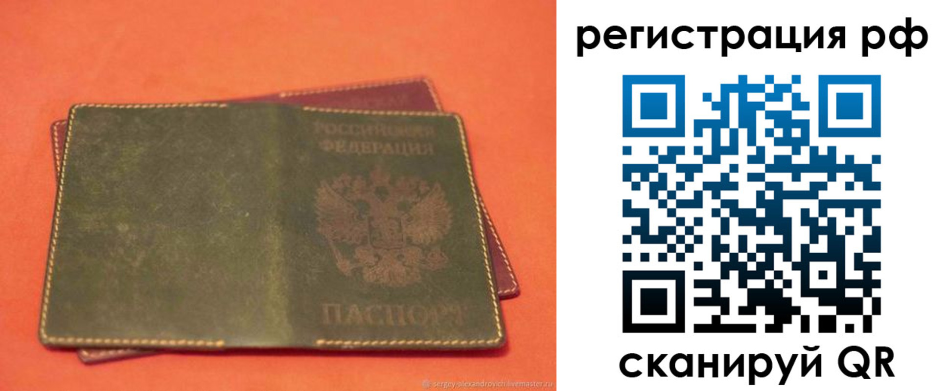 прописка 2025 в Чкаловске